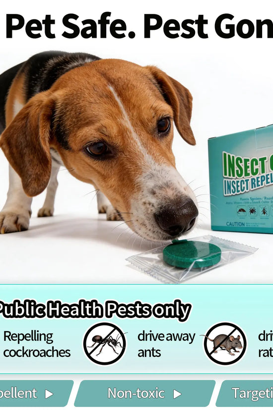 Professional Strong Mouse Control Bait - Fast Action Bait for Indoor/Outdoor Control