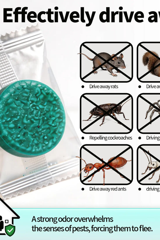 Professional Strong Mouse Control Bait - Fast Action Bait for Indoor/Outdoor Control